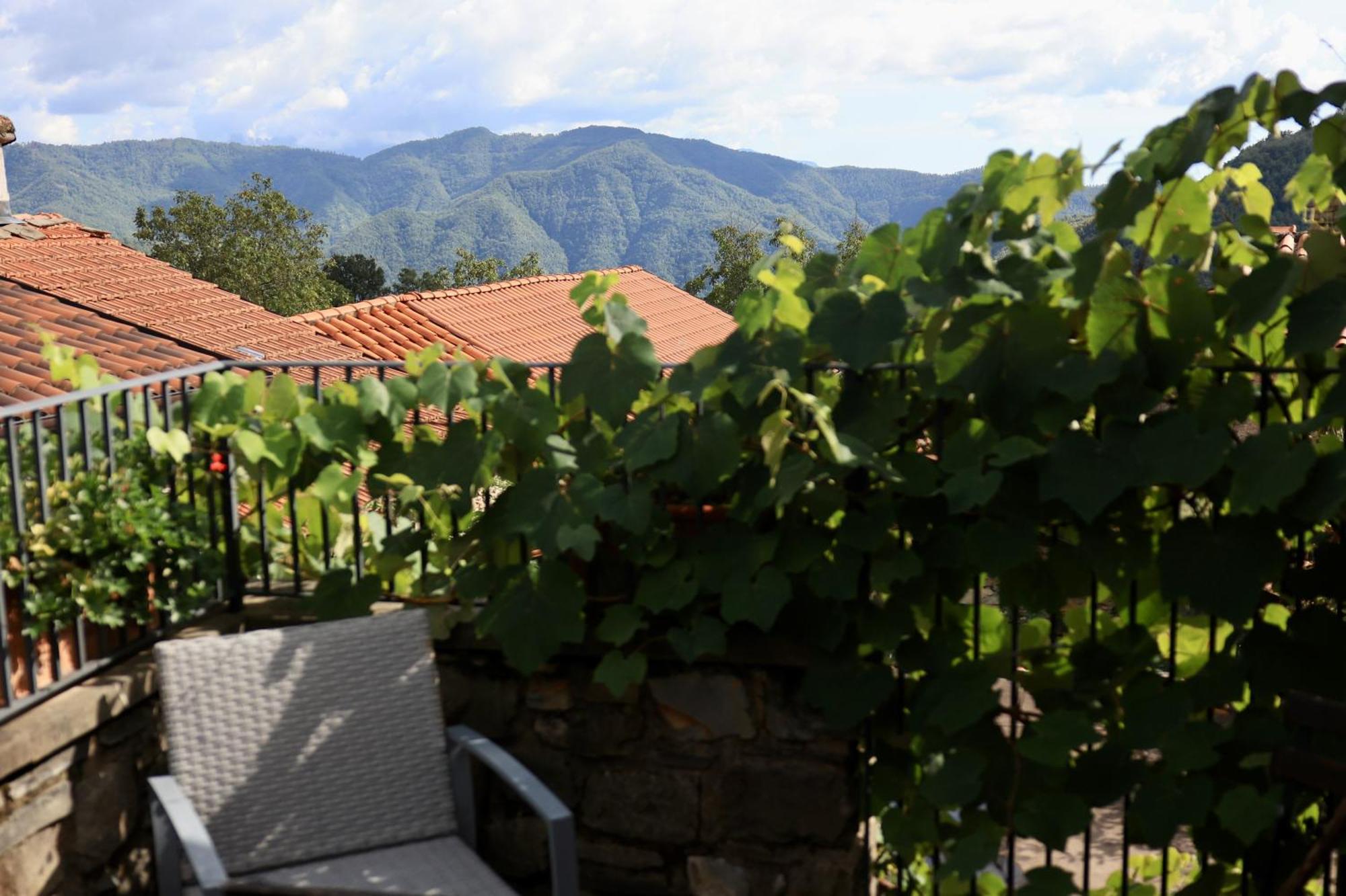 Agriturismo Montagna Verde Apella Licciana Nardi Dış mekan fotoğraf