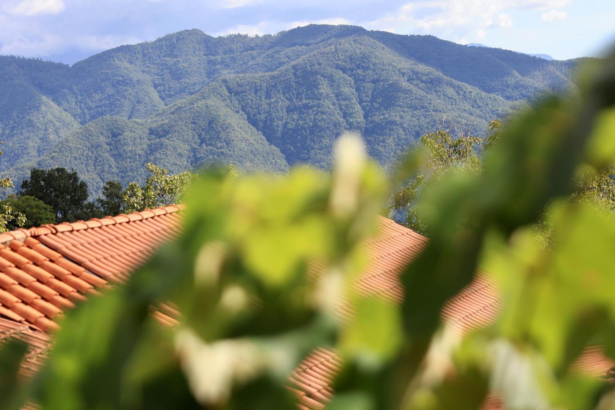 Agriturismo Montagna Verde Apella Licciana Nardi Dış mekan fotoğraf